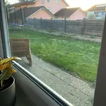 Voll Ausgestattete, Helle Auf 80 Qm * Wutoschingen