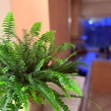 Voll Ausgestattete, Helle Auf 80 Qm *