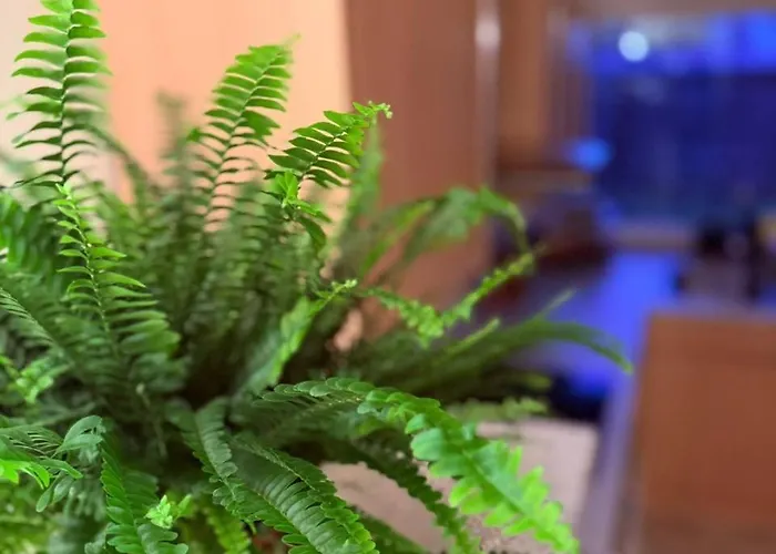 Voll Ausgestattete, Helle Auf 80 Qm *